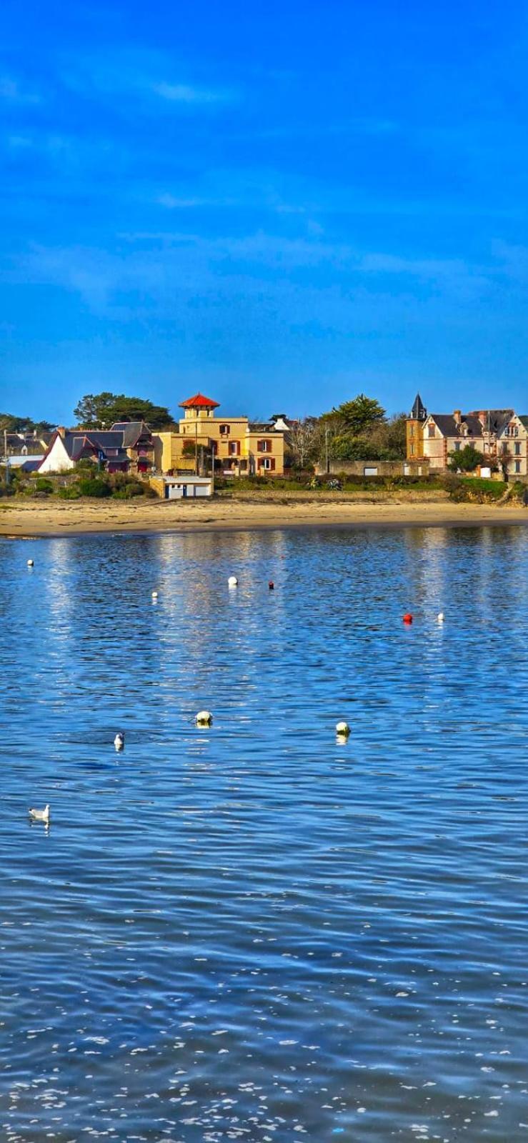Cocon Neuf - 6 A 8 Pers 3 Chb Proche Plage, Port, Centre Ville Saint-Pierre-Quiberon Ngoại thất bức ảnh