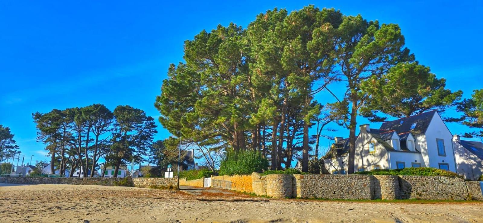 Cocon Neuf - 6 A 8 Pers 3 Chb Proche Plage, Port, Centre Ville Saint-Pierre-Quiberon Ngoại thất bức ảnh